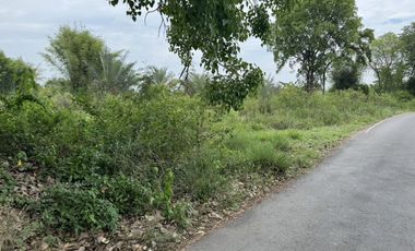 For sale land in San Pa Tong, Chiang Mai