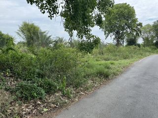 For sale land in San Pa Tong, Chiang Mai