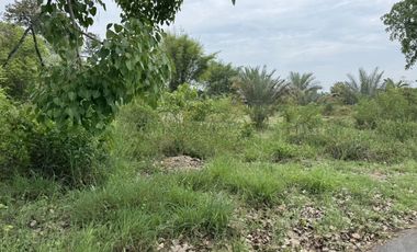 For sale land in San Pa Tong, Chiang Mai