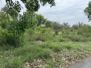 For sale land in San Pa Tong, Chiang Mai