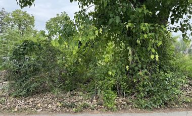 For sale land in San Pa Tong, Chiang Mai