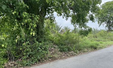 For sale land in San Pa Tong, Chiang Mai