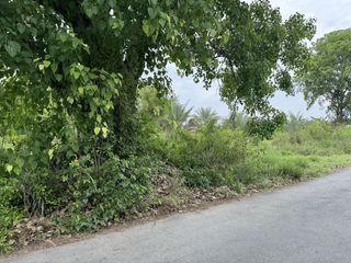For sale land in San Pa Tong, Chiang Mai