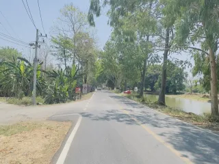 For sale land in Saraphi, Chiang Mai