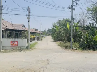 For sale land in Saraphi, Chiang Mai