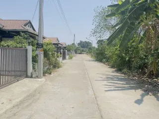 For sale land in Saraphi, Chiang Mai