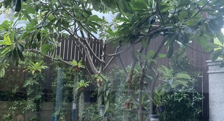 Villa zum Kauf und zur Miete mit 2 Zimmer in Watthana, Bangkok