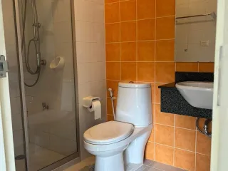 出租 和 出售 公寓 公寓 在 Phra Khanong, 曼谷