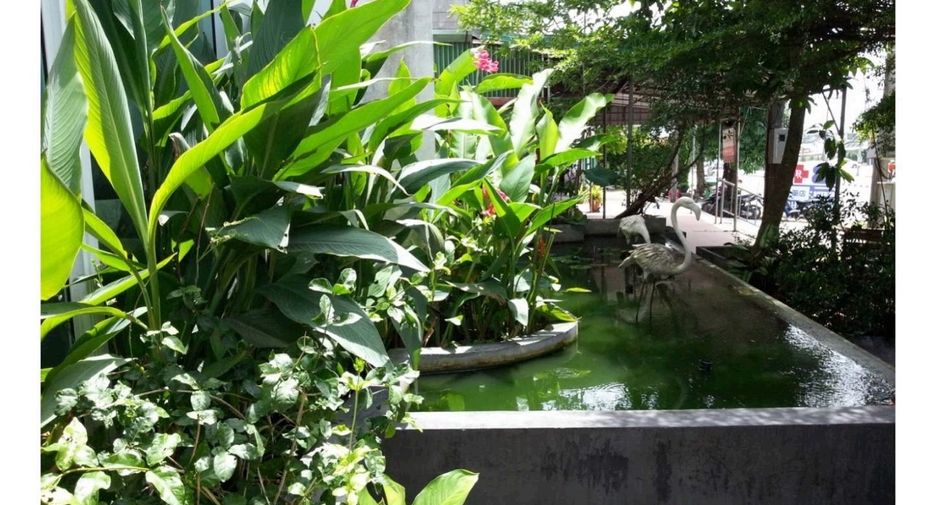 出售 和 出租 4 卧室 联排别墅 在 Phuket Town, 普吉