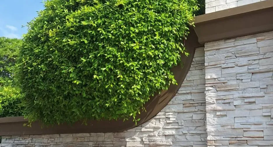 For sale 3 bedrooms townhouse in Mueang Nonthaburi, Nonthaburi