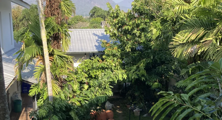 Casa en venta de 5 habitaciones en Chiang Dao, Chiang Mai