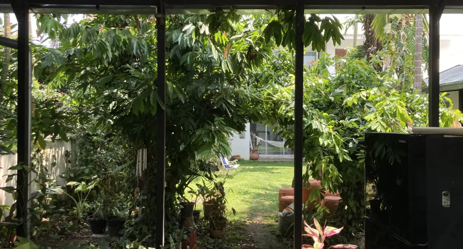 Casa en venta de 5 habitaciones en Chiang Dao, Chiang Mai