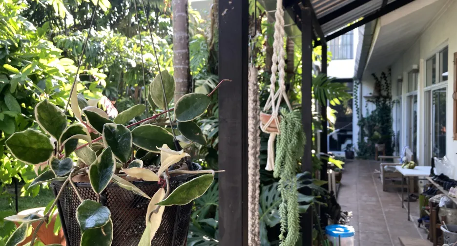 Casa en venta de 5 habitaciones en Chiang Dao, Chiang Mai