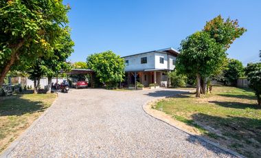 Haus zum Kauf mit 5 Zimmer in Saraphi, Chiang Mai
