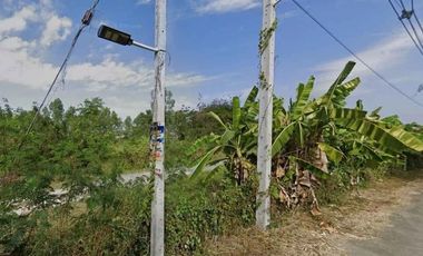Grundstück zum Kauf in San Kamphaeng, Chiang Mai