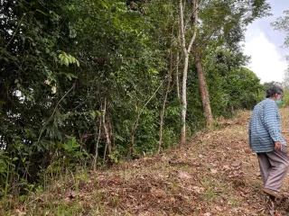 Grundstück zum Kauf in Takua Thung, Phang Nga