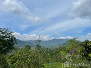Grundstück zum Kauf in Takua Thung, Phang Nga