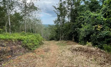 Terreno en venta en Takua Thung, Phang Nga