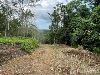 Grundstück zum Kauf in Takua Thung, Phang Nga
