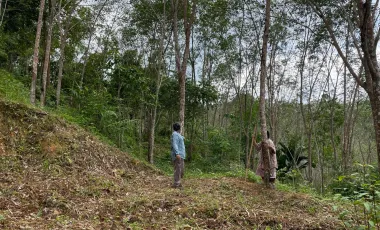 Terreno en venta en Takua Thung, Phang Nga