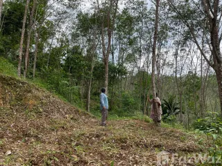 Grundstück zum Kauf in Takua Thung, Phang Nga