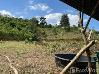 Grundstück zum Kauf in Takua Thung, Phang Nga