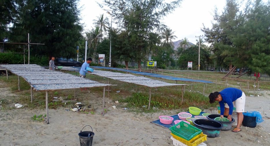 For sale 9 bedrooms house in Pran Buri, Prachuap Khiri Khan