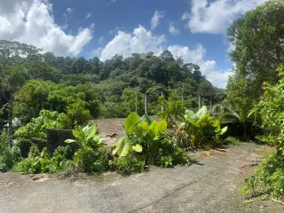 For sale 6 bedrooms villa in Kathu, Phuket