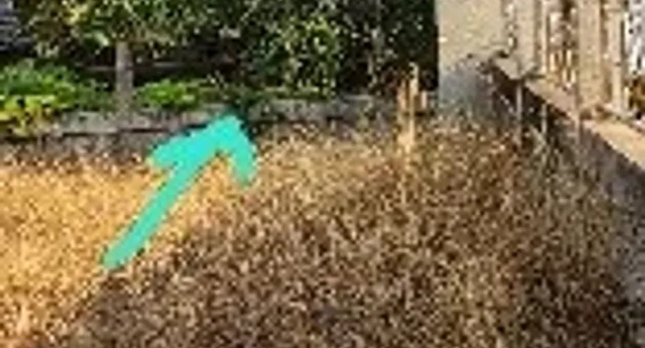 Продажа Участок в Rattanaburi, Сурин