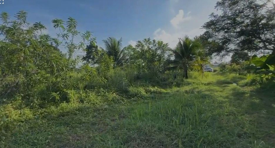 For sale land in Thalang, Phuket