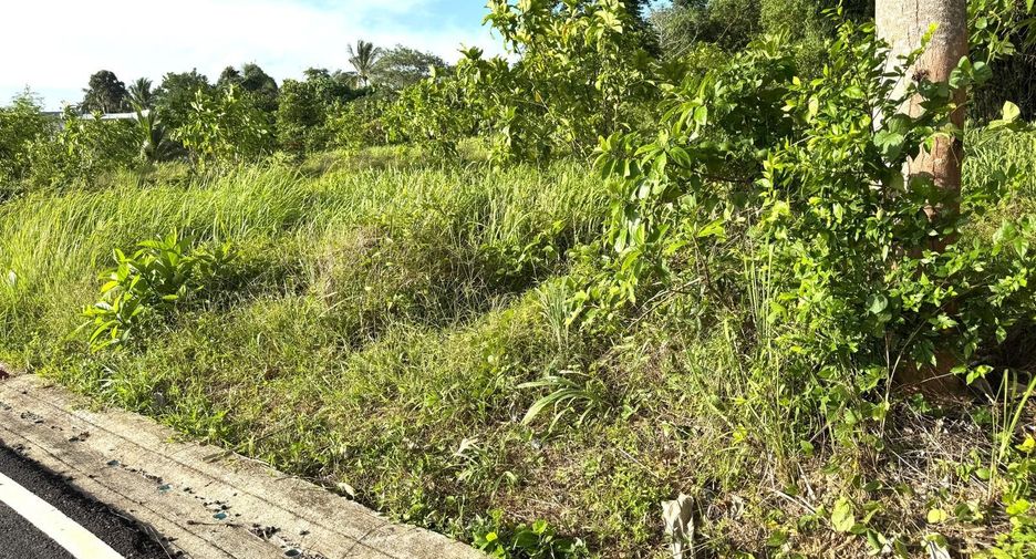 For sale land in Thalang, Phuket