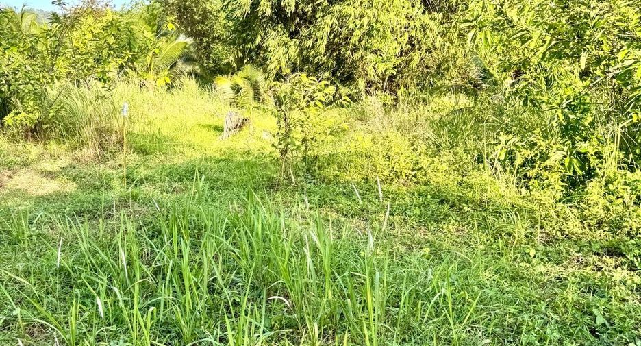 For sale land in Thalang, Phuket