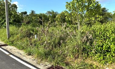 For sale land in Thalang, Phuket