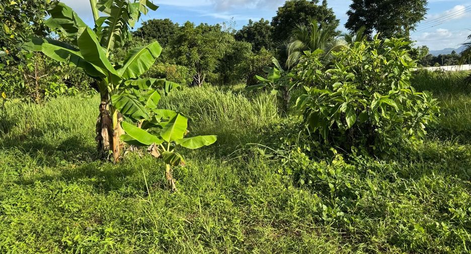 For sale land in Thalang, Phuket