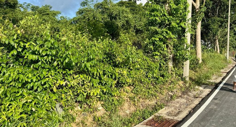 For sale land in Thalang, Phuket