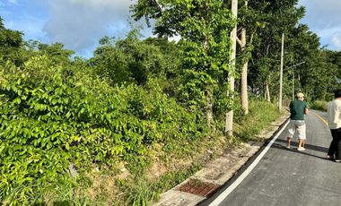 For sale land in Thalang, Phuket