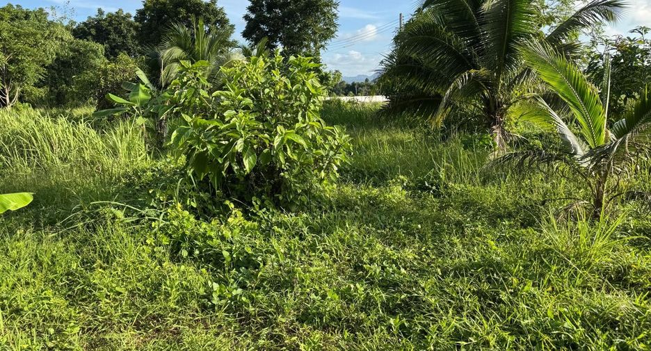 For sale land in Thalang, Phuket