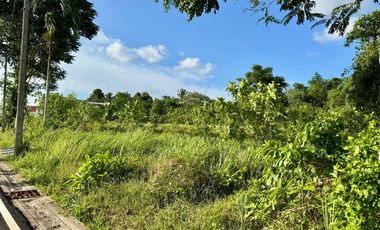 For sale land in Thalang, Phuket