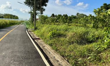 For sale land in Thalang, Phuket