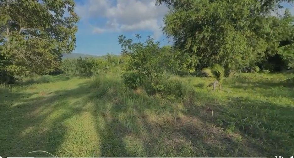 For sale land in Thalang, Phuket