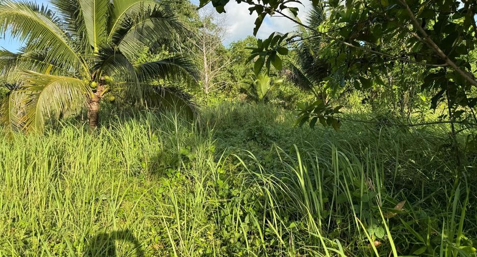 For sale land in Thalang, Phuket