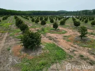 Продажа Участок в Клаенг, Районг