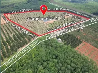 Продажа Участок в Клаенг, Районг