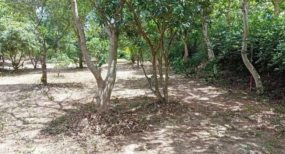 For sale land in Bang Lamung, Chonburi