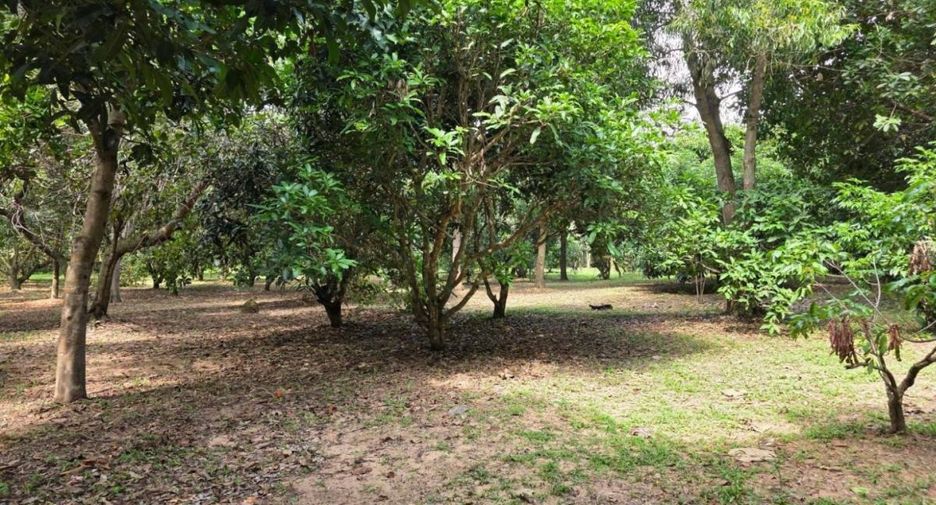出售 土地 在 Bang Lamung, Chon Buri