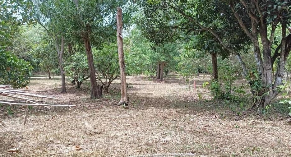 出售 土地 在 Bang Lamung, Chon Buri