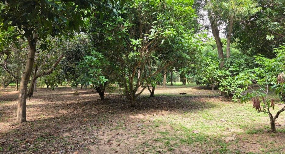 出售 土地 在 Bang Lamung, Chon Buri