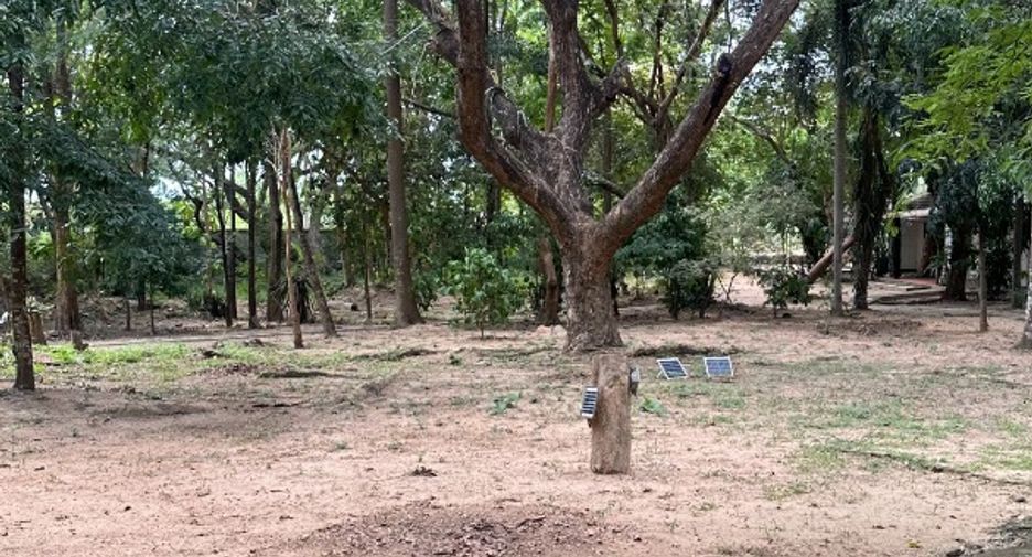 出售 土地 在 Bang Lamung, Chon Buri
