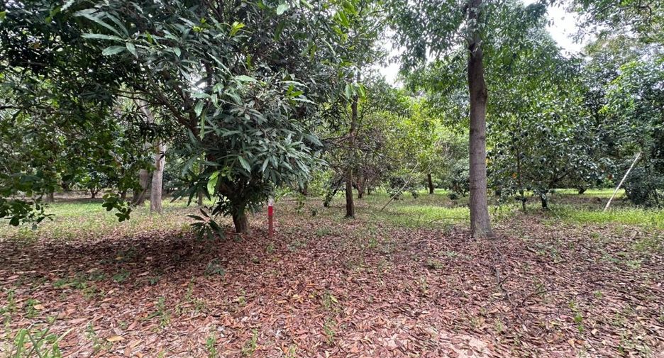 出售 土地 在 Bang Lamung, Chon Buri