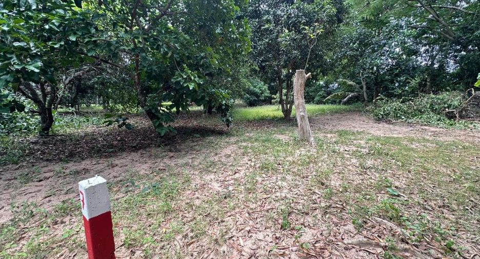 出售 土地 在 Bang Lamung, Chon Buri
